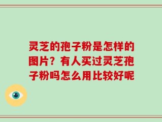 灵芝的孢子粉是怎样的图片？有人买过灵芝孢子粉吗怎么用比较好呢
