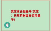 灵芝拿去做盖子(灵芝：天然药材变身实用盖子)