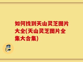如何找到天山灵芝图片大全(天山灵芝图片全集大合集)