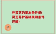 养灵芝的基本条件是(灵芝养护基础关键条件详解)