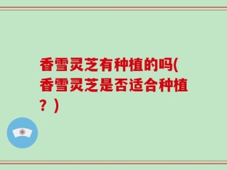 香雪灵芝有种植的吗(香雪灵芝是否适合种植？)