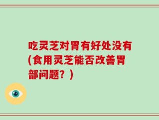 吃灵芝对胃有好处没有(食用灵芝能否改善胃部问题？)