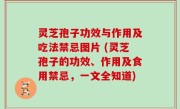 灵芝孢子功效与作用及吃法禁忌图片 (灵芝孢子的功效、作用及食用禁忌，一文全知道)