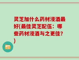 灵芝加什么药材浸酒最好(最佳灵芝配伍：哪些药材浸酒与之更佳？)