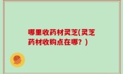 哪里收药材灵芝(灵芝药材收购点在哪？)