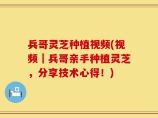 兵哥灵芝种植视频(视频｜兵哥亲手种植灵芝，分享技术心得！)