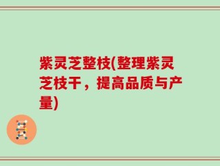紫灵芝整枝(整理紫灵芝枝干，提高品质与产量)
