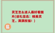 灵芝怎么送人最好看图片(送礼佳选：精美灵芝，满满祝福！)