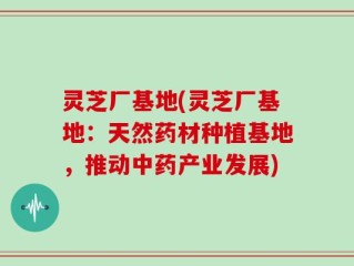灵芝厂基地(灵芝厂基地：天然药材种植基地，推动中药产业发展)