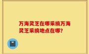 万海灵芝在哪采摘万海灵芝采摘地点在哪？