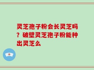 灵芝孢子粉会长灵芝吗？破壁灵芝孢子粉能种出灵芝么