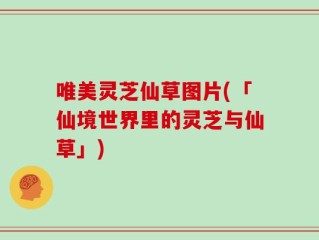 唯美灵芝仙草图片(「仙境世界里的灵芝与仙草」)