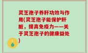 灵芝孢子养肝功效与作用(灵芝孢子能保护肝脏，提高免疫力——关于灵芝孢子的健康益处)