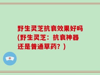 野生灵芝抗衰效果好吗(野生灵芝：抗衰神器还是普通草药？)