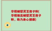 华琨破壁灵芝孢子粉(华琨推出破壁灵芝孢子粉，助力身心健康)