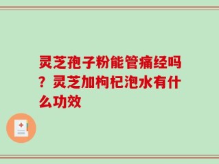 灵芝孢子粉能管痛经吗？灵芝加枸杞泡水有什么功效