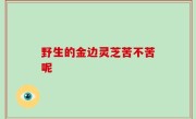 野生的金边灵芝苦不苦呢