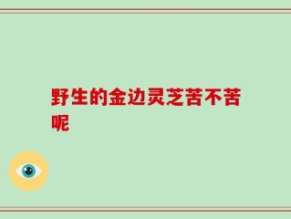 野生的金边灵芝苦不苦呢