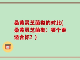 桑黄灵芝菌类的对比(桑黄灵芝菌类：哪个更适合你？)