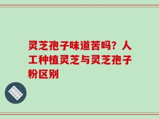 灵芝孢子味道苦吗？人工种植灵芝与灵芝孢子粉区别