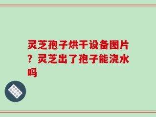 灵芝孢子烘干设备图片？灵芝出了孢子能浇水吗