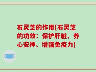 石灵芝的作用(石灵芝的功效：保护肝脏、养心安神、增强免疫力)