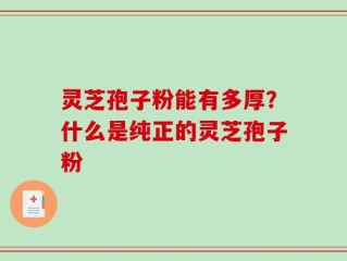 灵芝孢子粉能有多厚？什么是纯正的灵芝孢子粉