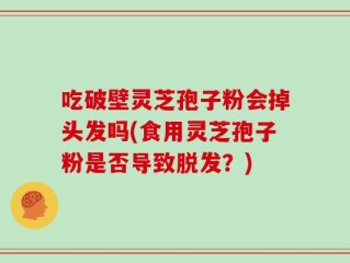 吃破壁灵芝孢子粉会掉头发吗(食用灵芝孢子粉是否导致脱发？)