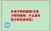 长孢子粉的植物(长孢子粉的植物：什么是长孢子粉及其特征)