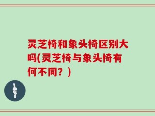 灵芝椅和象头椅区别大吗(灵芝椅与象头椅有何不同？)