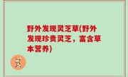 野外发现灵芝草(野外发现珍贵灵芝，富含草本营养)