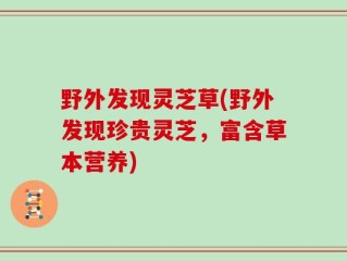 野外发现灵芝草(野外发现珍贵灵芝，富含草本营养)