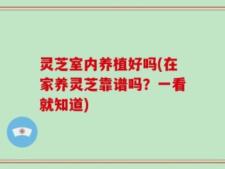灵芝室内养植好吗(在家养灵芝靠谱吗？一看就知道)