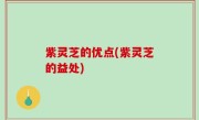 紫灵芝的优点(紫灵芝的益处)