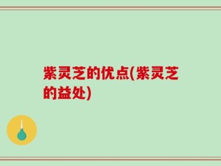 紫灵芝的优点(紫灵芝的益处)