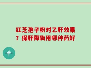 红芝孢子粉对乙肝效果？保肝降酶用哪种药好