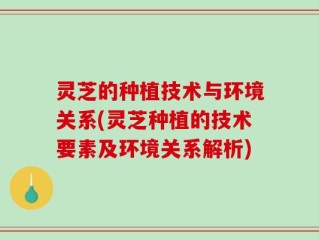 灵芝的种植技术与环境关系(灵芝种植的技术要素及环境关系解析)