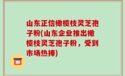 山东正信橄榄枝灵芝孢子粉(山东企业推出橄榄枝灵芝孢子粉，受到市场热捧)