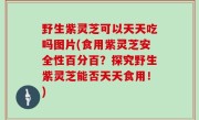 野生紫灵芝可以天天吃吗图片(食用紫灵芝安全性百分百？探究野生紫灵芝能否天天食用！)