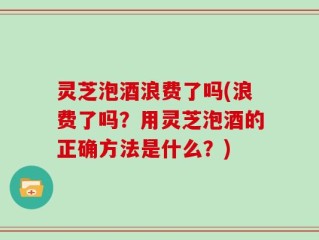 灵芝泡酒浪费了吗(浪费了吗？用灵芝泡酒的正确方法是什么？)