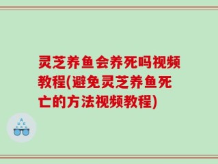 灵芝养鱼会养死吗视频教程(避免灵芝养鱼死亡的方法视频教程)