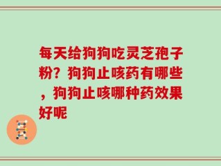 每天给狗狗吃灵芝孢子粉？狗狗止咳药有哪些，狗狗止咳哪种药效果好呢