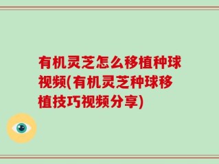 有机灵芝怎么移植种球视频(有机灵芝种球移植技巧视频分享)