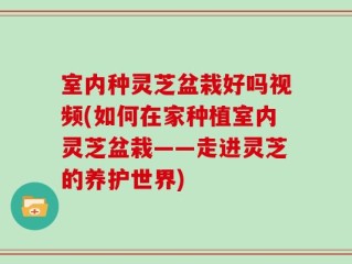 室内种灵芝盆栽好吗视频(如何在家种植室内灵芝盆栽——走进灵芝的养护世界)