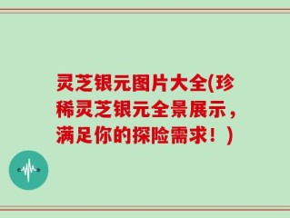 灵芝银元图片大全(珍稀灵芝银元全景展示，满足你的探险需求！)