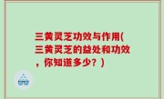 三黄灵芝功效与作用(三黄灵芝的益处和功效，你知道多少？)