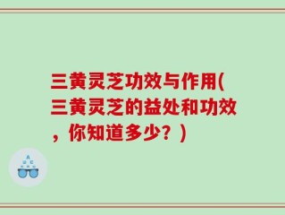 三黄灵芝功效与作用(三黄灵芝的益处和功效，你知道多少？)