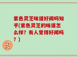 紫色灵芝味道好闻吗知乎(紫色灵芝的味道怎么样？有人觉得好闻吗？)