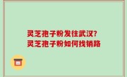 灵芝孢子粉发往武汉？灵芝孢子粉如何找销路