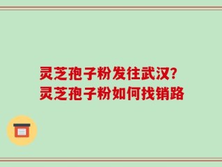 灵芝孢子粉发往武汉？灵芝孢子粉如何找销路